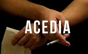 Image result for acdacia