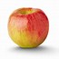 Image result for Rare Apple Varieties