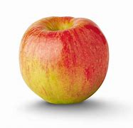 Image result for Apple Store NYC NY