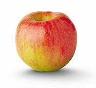 Image result for All Kinds of Apple's