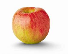 Image result for Largest Apple Variety