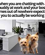 Image result for Dog Co-Workers Meme