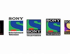 Image result for Sony Entertainment Network MSM India Logo