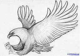 Image result for Pencil Drawing Eagle Wings