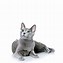 Image result for Cat Image White Background