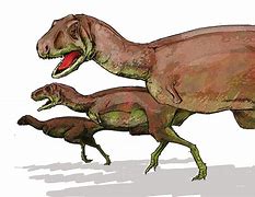 Image result for Dinosaur PJ's