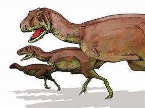 Image result for Dinosaur Kids Pajamas