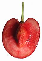 Image result for Cherry Di Apple