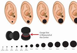 Image result for 00 Gauges for Ears