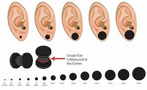 Image result for Ear Plug Gauge Chart