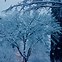 Image result for Snowing Day