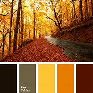 Image result for Autumn Color Hunt