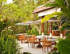 Image result for Ubud Bali Restaurant