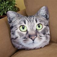 Image result for Grey Cat Couch Pillow