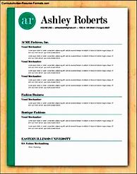 Image result for Resume Templates That Stand Out