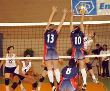 Image result for Volleyball World Championship