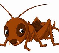 Image result for Katydid Cartoon