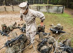 Image result for Marine Corps Boot Camp