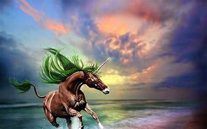 Image result for Unicorn Fighter