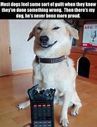 Image result for Sarcastic Dog Face