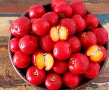 Image result for Jamaican Cherry