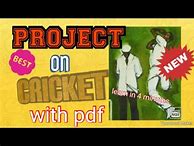 Image result for Cricket Information for Project in PDF