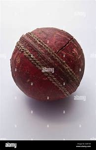 Image result for Old Cricket