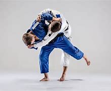 Image result for Defcom Jiu Jitsu