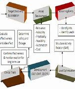 Image result for Key Steps in Drug Discovery