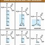 Image result for Phytin Structure