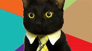 Image result for Business Cat Classy Meme