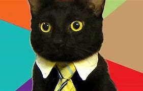Image result for Best Business Cat Meme