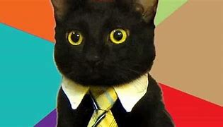 Image result for Business Cat Meme New Year's