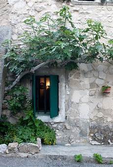 fioriere per davanzale finestra pin di marina conti su finestre porte balconi porte fioriere per davanzale finestra pin di marina conti su finestre porte balconi porte