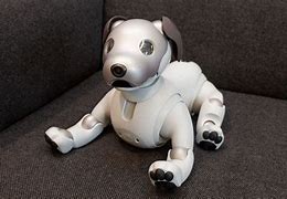 Image result for Takino Robotic Aibo Dog