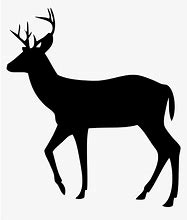 Image result for JPEG Deer Silhouette