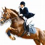 Image result for Horse Riding Race