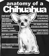 Image result for Distorted Chihuahua Meme