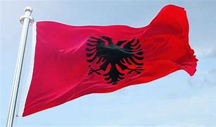 Image result for albanian flags mean