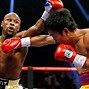 Image result for Boxing Knockout Punch