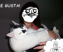 Image result for Me Gusta Cat Meme
