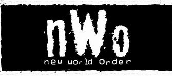 Image result for John Cena NWO