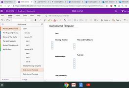 Image result for OneNote Journal