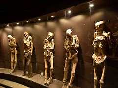Image result for Guanajuato Mummy Babies