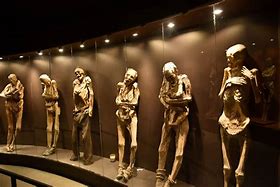 Image result for Guanajuato City Mexico Mummy's