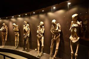 Image result for Guanajuato Mexico Mummies