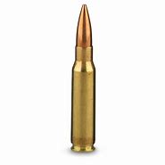 Image result for 308 Cartridge