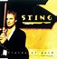 Image result for Sting Hair