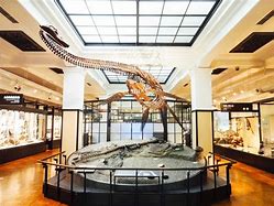 Image result for National Museum of Nature and Science