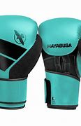 Image result for Venum Boxing